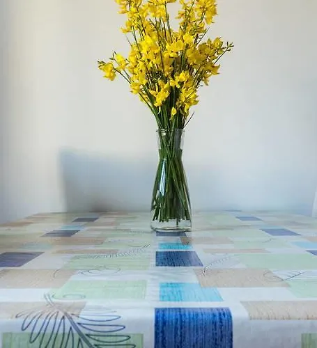 Apartment A & G Petrovic Pirovac